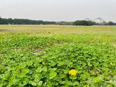 -苏州独墅湖体育馆