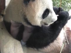 -杭州野生动物世界