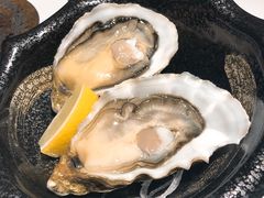 法国吉拉朵活生蚝-极料理(普罗理想国店)