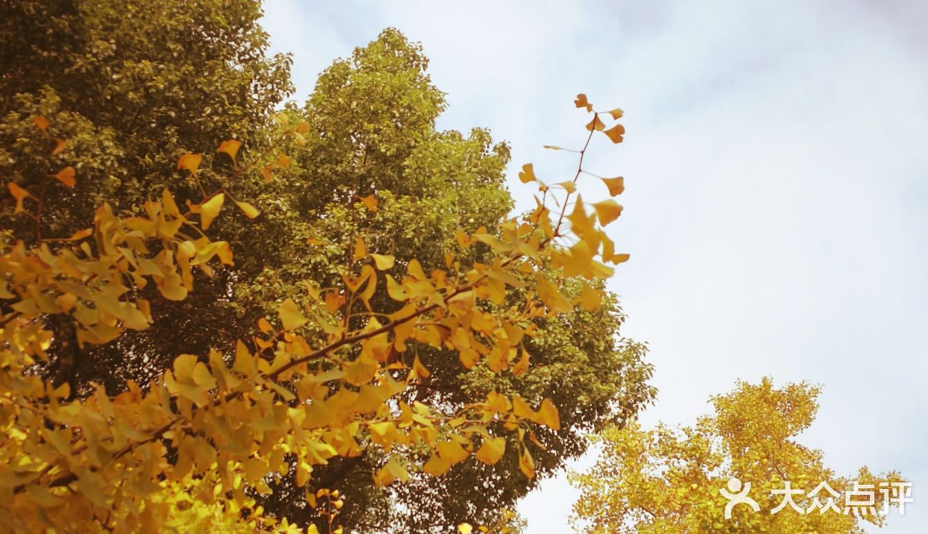 这次来上海住在长风公园附近，清早起来去散散步