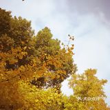 这次来上海住在长风公园附近，清早起来去散散步