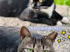 -广州珠江公园
