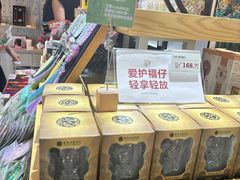 -南越王博物院(王宫展区)