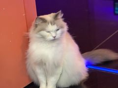 -暗楼·剧本杀·桌游