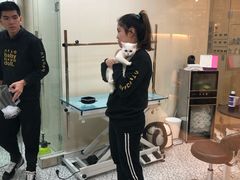 -momokira米努特·德文卷毛猫·棉花面纱犬