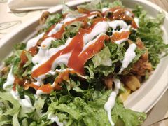 铁板鸡肉碗里道-油梨树 AVOCADO TREE(亮马桥店)