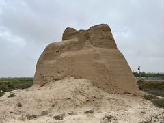 -金塔沙漠胡杨林景区