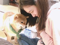 -逗柴咖啡屋·狗咖猫咖宠物桌游