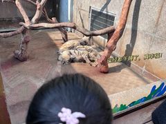 -西安秦岭野生动物园