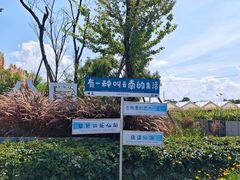 -抚仙湖禄充风景区