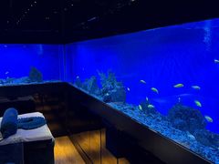 -避尘 Bsense·SPA(新会展总店)