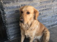 -浔岚云舍mist静谧观景美宿(丽江古城店)