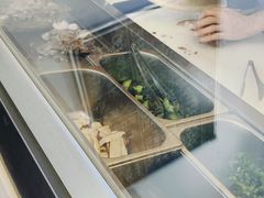 -丰登陕西水盆牛羊肉·泡馍