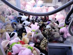 -PAWTOY爪e玩偶店(天兴罗斯福店)