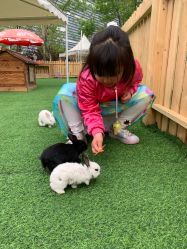 -萌宠亲子动物乐园(槐房万达店)