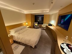 -广州白天鹅宾馆