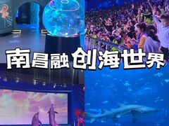 -南昌融创海世界
