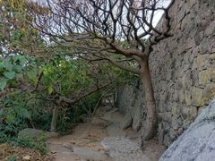 -东澳岛
