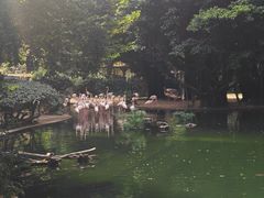 -九龙公园