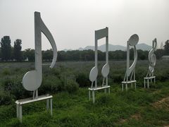 -北京东方普罗旺斯薰衣草庄园