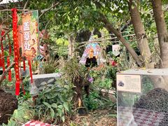 -呀路古热带植物园