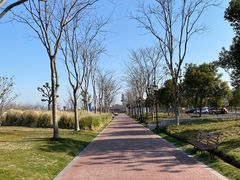 -上海山野camping·户外天幕烧烤·团建拓展营地