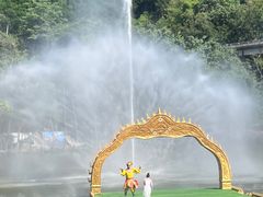 -西双版纳原始森林公园