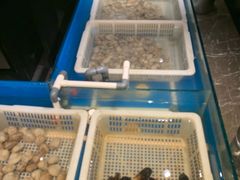 海鲜-星伦多自助料理·涮烤一体(嘉兴八佰伴店)