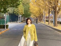 -三里屯东五街银杏大道