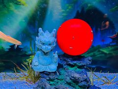 -欢乐海岸海洋奇梦馆