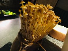 -麻路成都火锅(柏威年店)