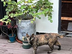 -EATALIA意塔利意式餐厅(鼓楼店)