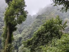 -青城山
