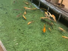 -金河半岛园林酒家(金融城店)