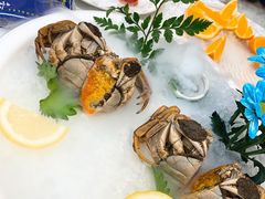 醉蟹-齐家花园大酒店·本帮菜(宝山店)