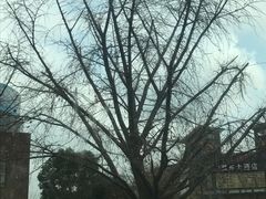 -南京金牛湖风景区