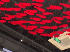 -洞庭鱼香(万科店)