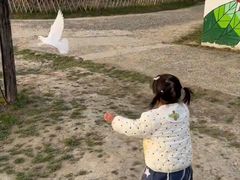 -乌村