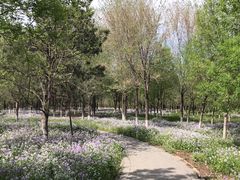 -东郊湿地公园