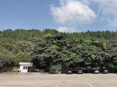 -北京十三陵国家森林公园蟒山景区