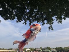 -江苏三台山国家森林公园
