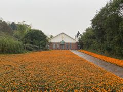 -天目湖涵田度假村