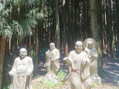 -武陵山森林公园