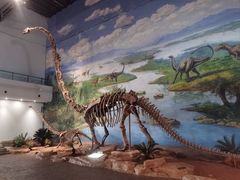 -自贡恐龙博物馆