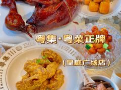 -粤集·手工粤菜(皇庭广场店)