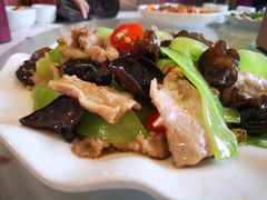 -老成渝川菜馆(麦溪路店)