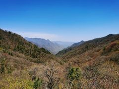 -牛背梁国家森林公园