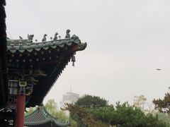 -迎泽公园