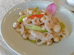 -楼外楼(西湖景区孤山路店)