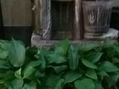 -莱仪堂艾灸经络养生馆(九亭一店)